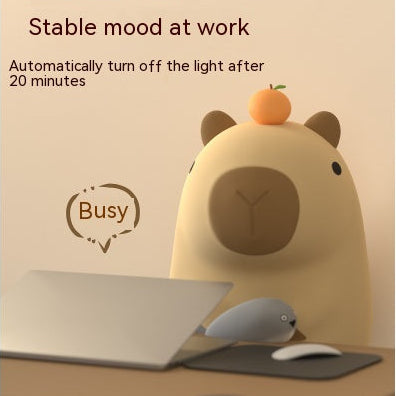 My HushLite Collection